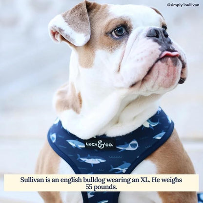 Lucy & Co. Reversible Dog Harness Walking Halter - Image 5