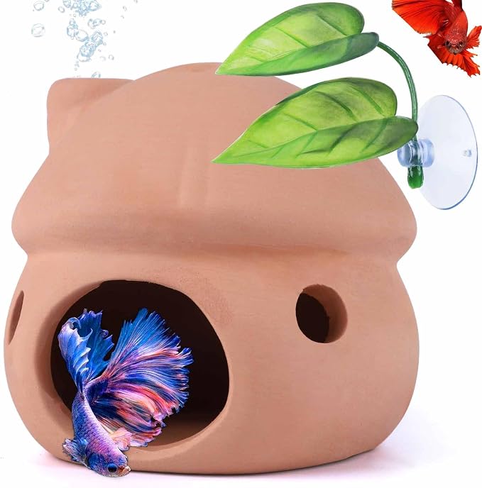 Betta Fish Tank Accessories, Pleco Caves by AMZbro%E3%80%90HouseUp%E3%80%91