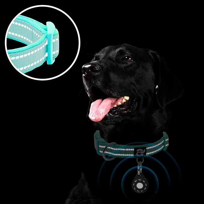azuza Reflective Dog Collar - Image 5