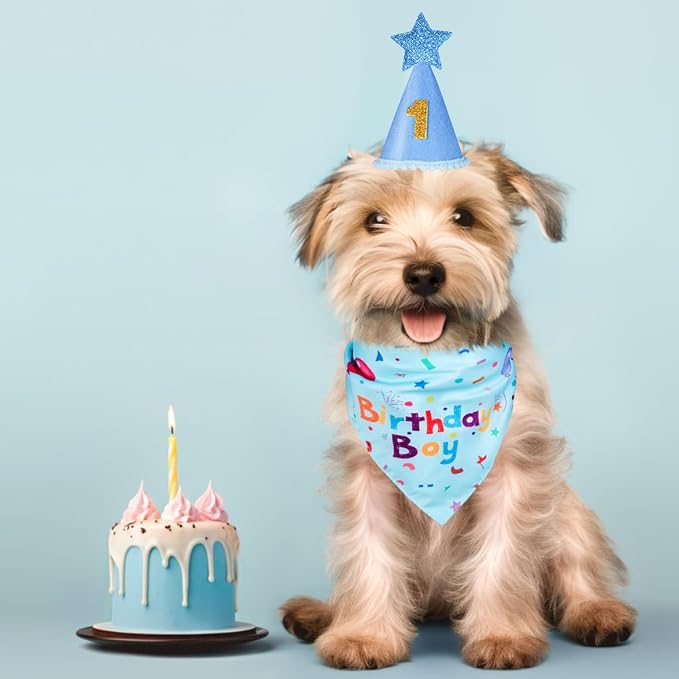 Dog Birthday Party Supplies, Dog Birthday Bandana Set, Dog Boy Girl Birthday - Image 8