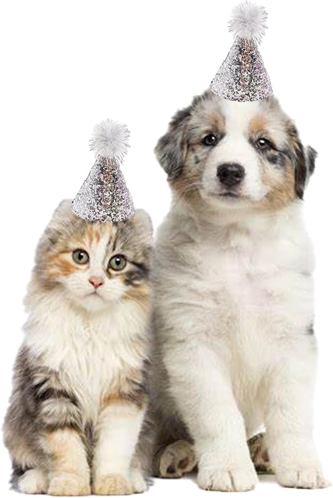 10 Pcs Dog Birthday Hat Set for Small Medium Dogs Cat Puppies, Mini Party Hat - Image 5