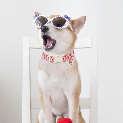 Valentines Dog Collar for Small Dogs - Image 3