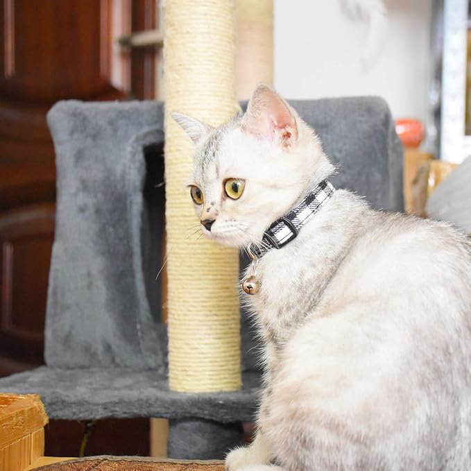 Breakaway cat Collars with Bell, Durable & Safe Cute Kitten Collars Safety - Image 5