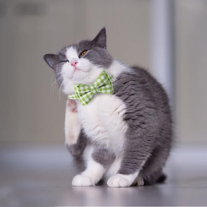 AIITLE Breakaway Cat Collar - Image 4