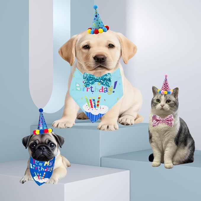 Pet Birthday Party Set with Hat and Bandana - Image 5