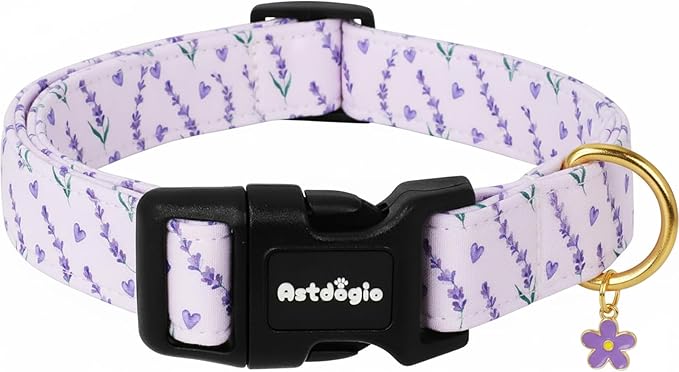 Dog Collar for Medium Dogs, Spring Purple Dog Collars by Unknown