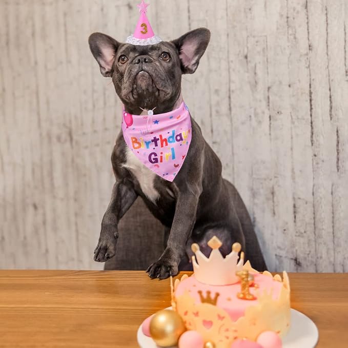 Dog Birthday Decorations, Dog Birthday Hat - Image 8
