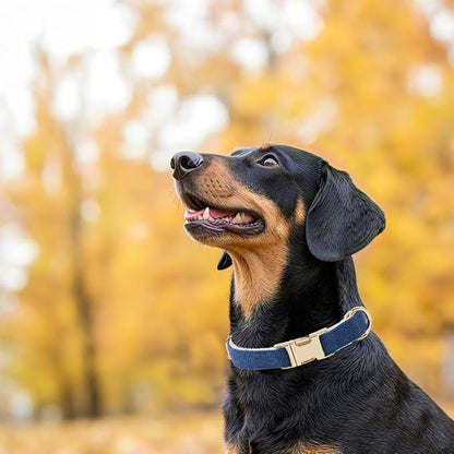 Soft Cotton Hemp Dog Collar - Image 3