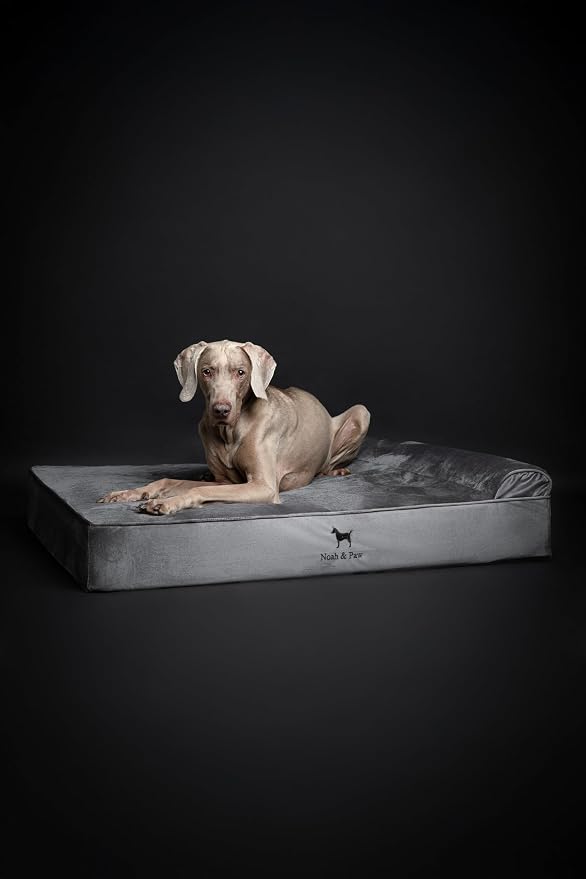 NOAH & PAW XL Dog Bed, Orthopedic Large Dog Beds, Eggshell Memory Foam Infused - Image 6