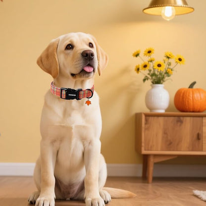 DOGWONG Fall Maple Dog Collar- Cute Classic Fall Autumn Flower Dog Collars - Image 4