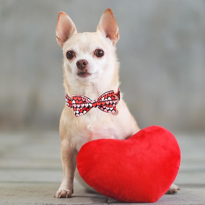 Valentine’s Day Dog Collar - Image 5