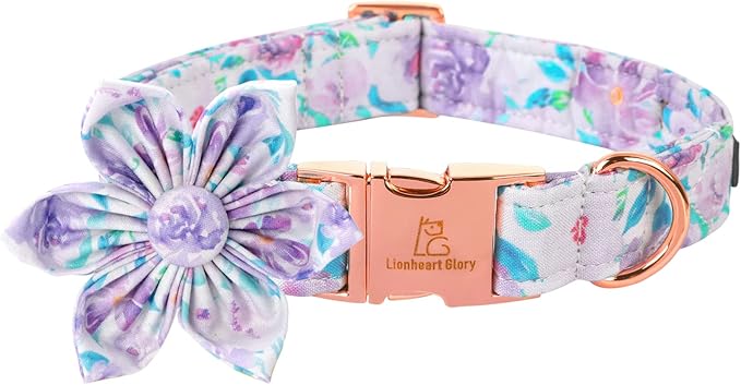 Lionheart Glory Purple Dog Collar by LionheartGlory