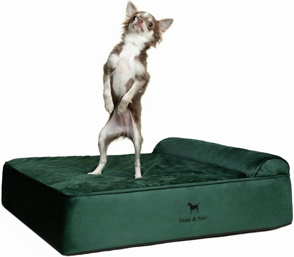 NOAH & PAW Dog Bed, Orthopedic Dog Beds by NoahPaw