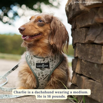 Lucy & Co. Cute Reversible Dog Harness Walking Halter - Image 2