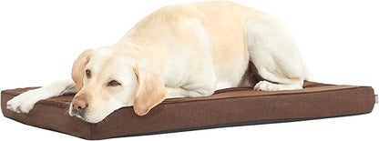 Barkbox Orthopedic Dog Bed by BARK
