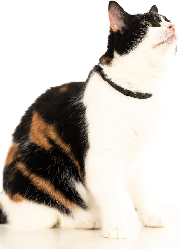 Silicone Cat Collar - Image 8
