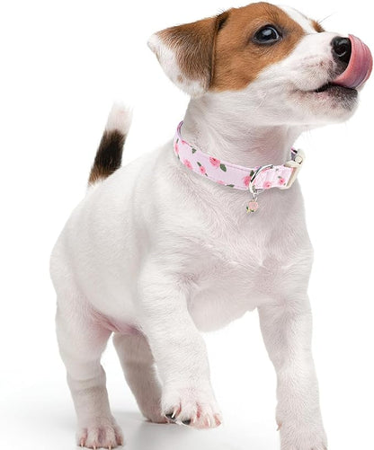 Faygarsle Pink Floral Dog Collar - Image 6