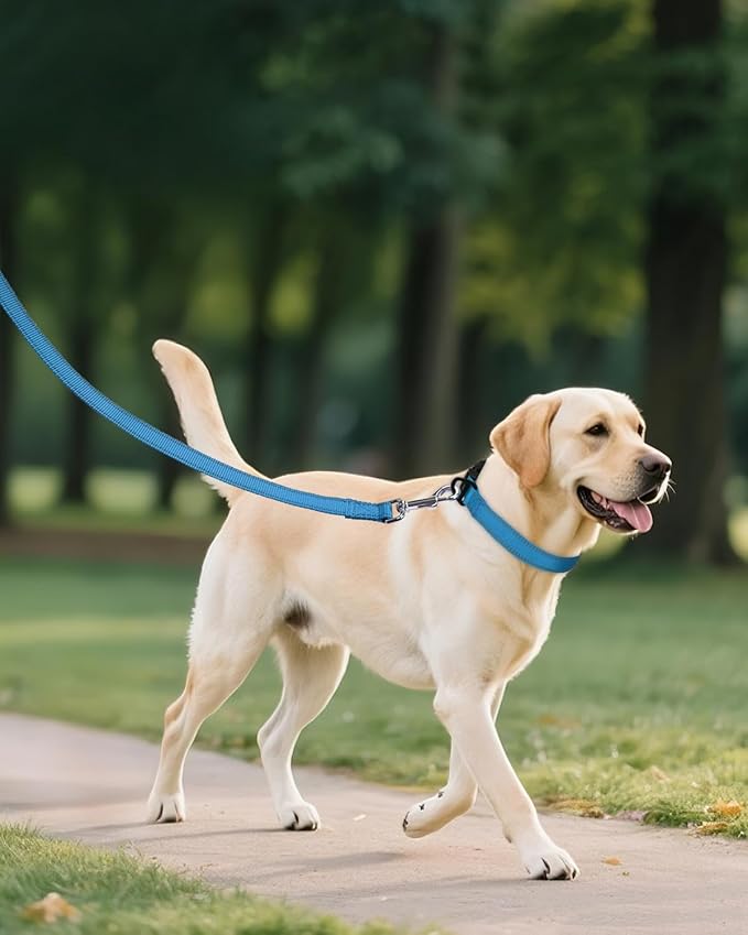 Joytale Reflective Dog Collar, Adjustable Nylon Pet Collar - Image 6
