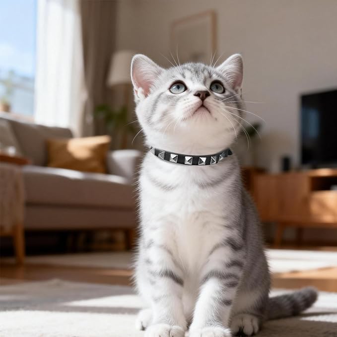 EXPAWLORER Leather Cat Collar - Image 6