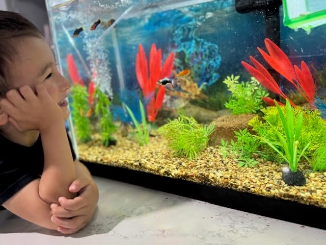 Aquarium Stone for Natural Water Clarification and Odor Removal Featuring - Image 9