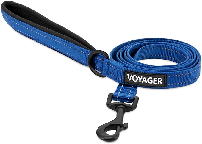 Best Pet Supplies Voyager Reflective Dog Leash or Collar by BestPetSuppliesLLC