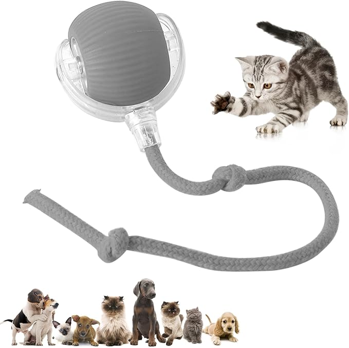 Chewie Viral Rolling Pet Ball, Interactive Cat & Dog Toy, 360 Smart Automatic - Image 8