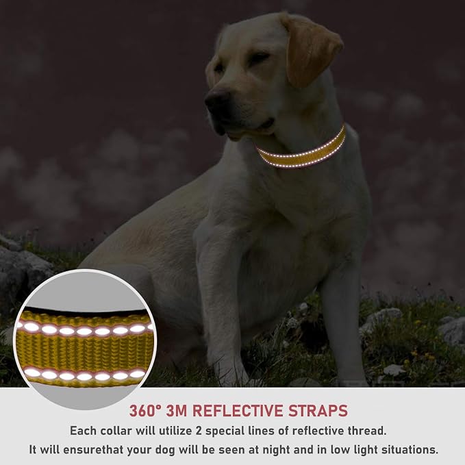 Reflective Dog Collar with Buckle Adjustable Safety Nylon Collars - Image 4