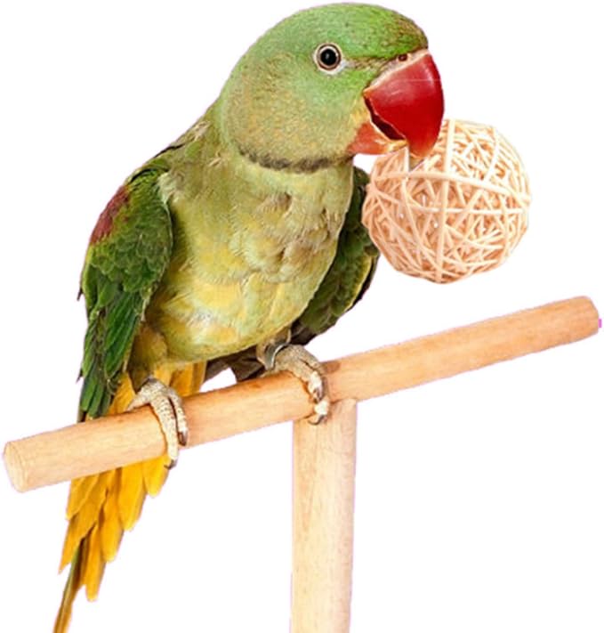 Parrot Chew Toys Bird Toys, for Budgies Conures Hamsters Bunny Toy, Decoration - Image 2