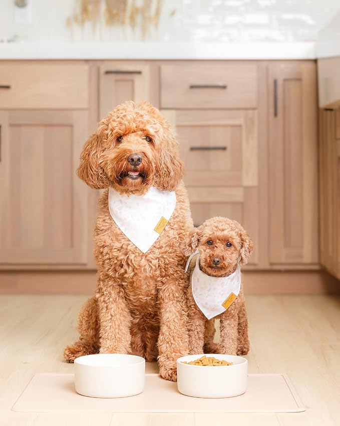 Remy+Roo Sand Silicone Dog Food Mat - Image 2