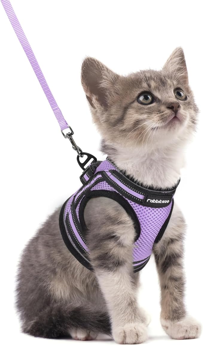 rabbitgoo Cat Harness and Leash Set by rabbitgoo