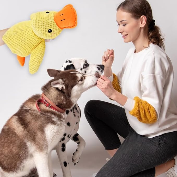 2025 Upgraded Dog Toys, New Durable Calming Duck Toys, Dog Toys - Image 7