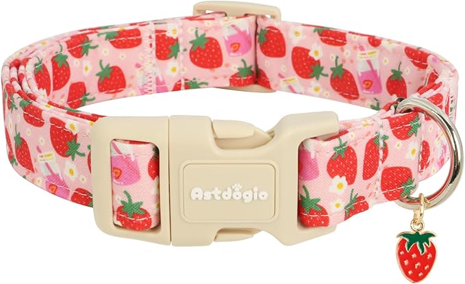Strawberry Dog Collar, Cute Pink Dog Collars by Unknown