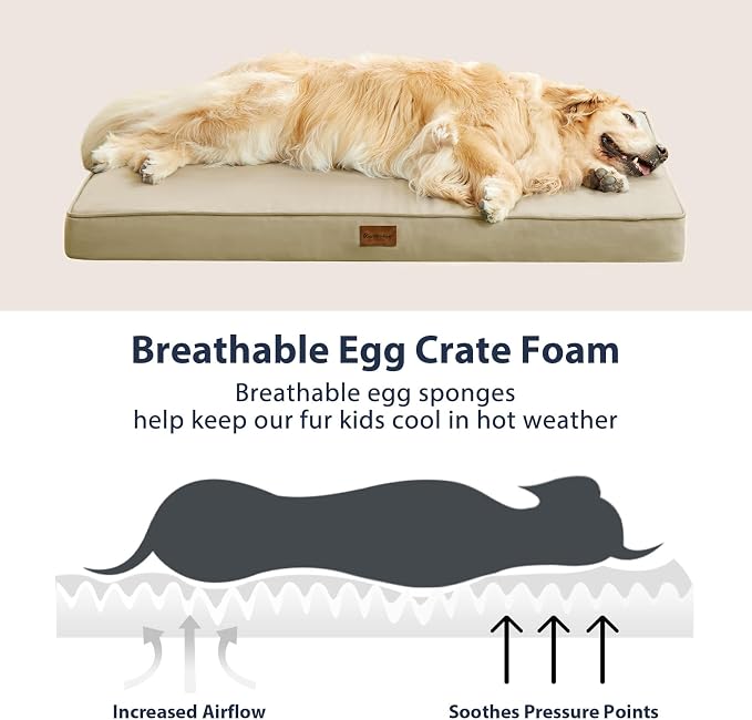 BFPETHOME Outdoor Dog Bed for Large Dogs, Waterproof, Orthopedic - Image 5