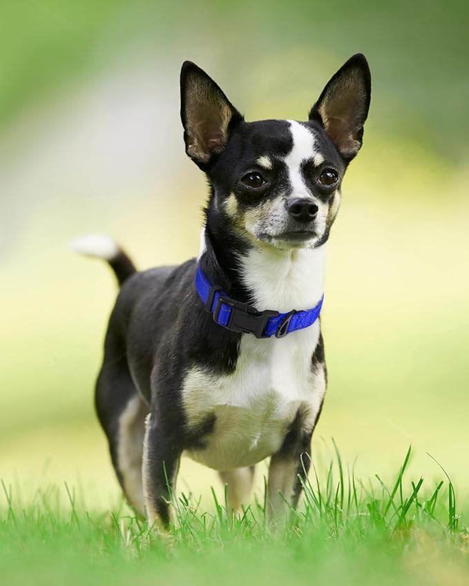 Joytale Reflective Dog Collar, Soft Neoprene Padded, Metal D-Ring, Nylon Pet - Image 6