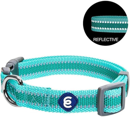 Blueberry Pet Essentials Matching Small Dog Collar | Adjustable Classic Solid - Image 5