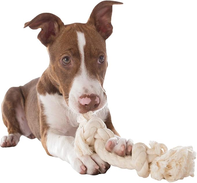 Mammoth Pet Products Dog Flossy Chews 100-Percent Cotton White Rope Bone - Image 3