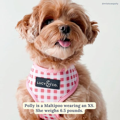 Lucy & Co. Cute Reversible Dog Harness Walking Halter - Image 5