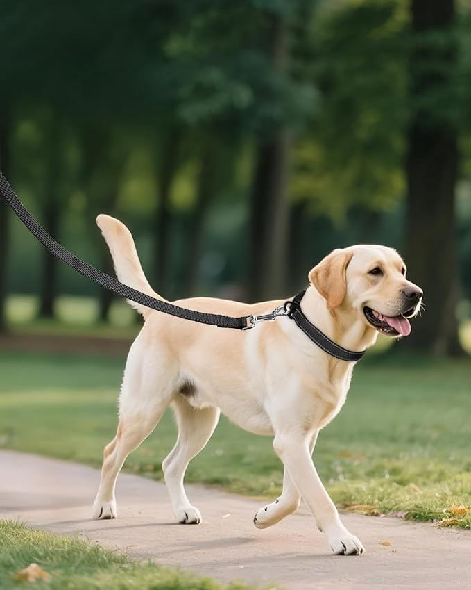 Joytale Reflective Dog Collar, Adjustable Nylon Pet Collar - Image 6