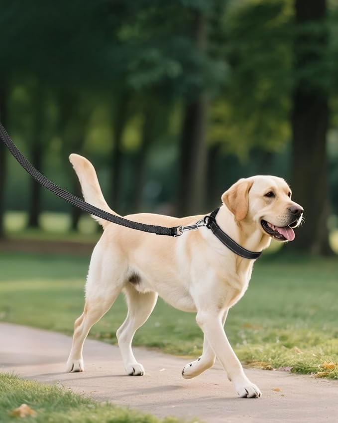 Joytale Large Dog Collar, Reflective and Adjustable Nylon Pet Collar - Image 6