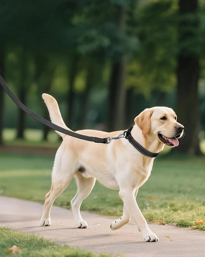 Joytale Large Dog Collar, Reflective and Adjustable Nylon Pet Collar - Image 6