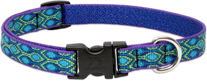 Lupine Small Dog Collar 3/4" Wide Rain Song Adjusts from 9" to 14" by LupinePet