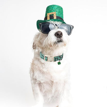 St Patricks Day Dog Collar for Medium Dogs - Image 5