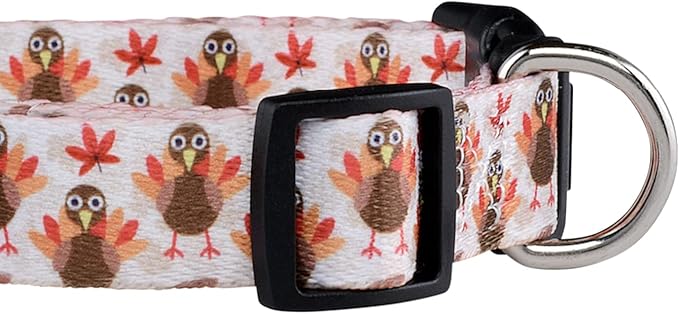 Native Pup Thanksgiving Dog Collar- Fall Collars - Image 5