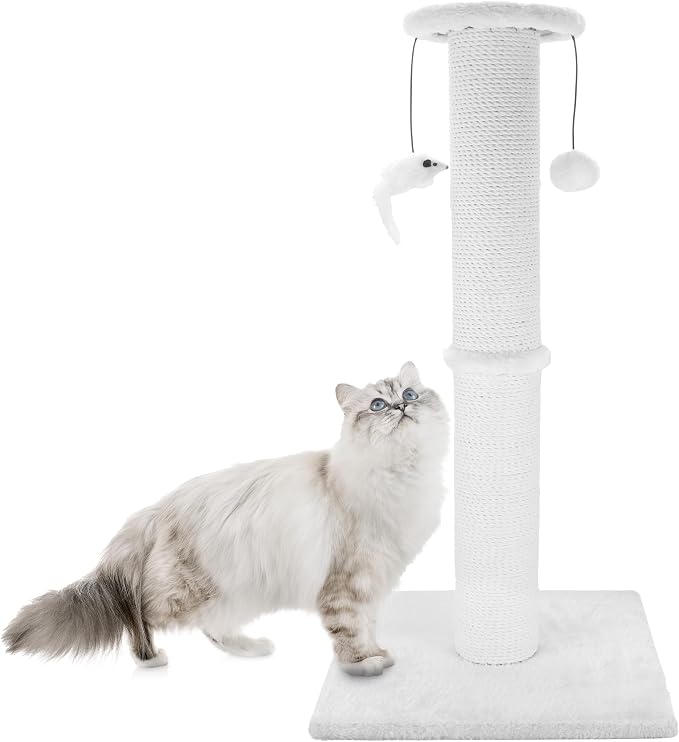 Cat Scratching Post 34 Inches Heavy Duty and Thicker Cat Scratching Post Sisal by Ahomdoo