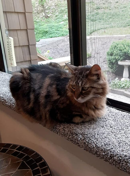 Purrched Cat Window Perch - Image 3
