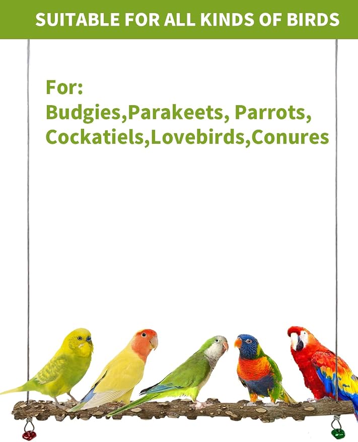 FlidRunest Bird Parrot Swing Toy, Natural Pepper Wood Bird Perch Stand - Image 6