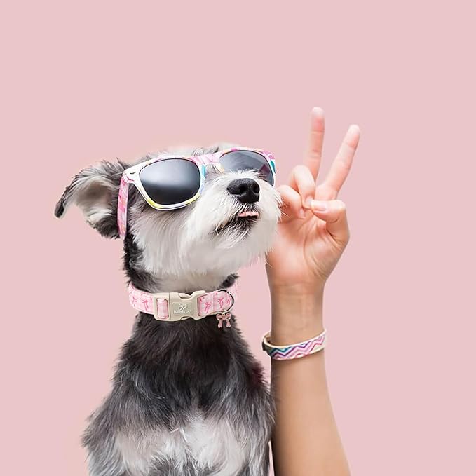 Girl Dog Collar for Small Dogs - Image 6