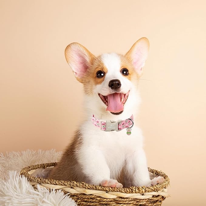 Easter Dog Collar for Small Dogs - Image 4