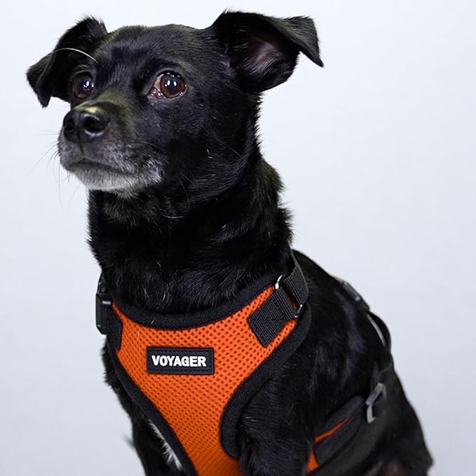 Voyager Step-in Pet Harness - Image 8