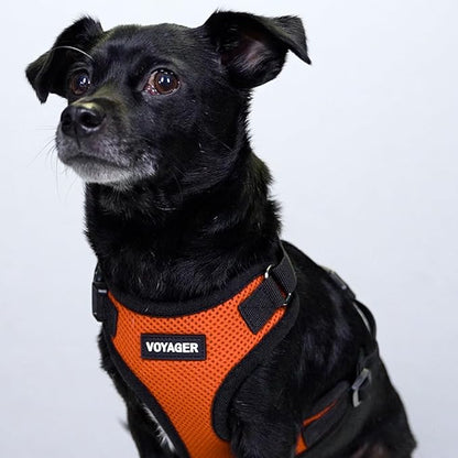 Voyager Step-in Pet Harness - Image 8